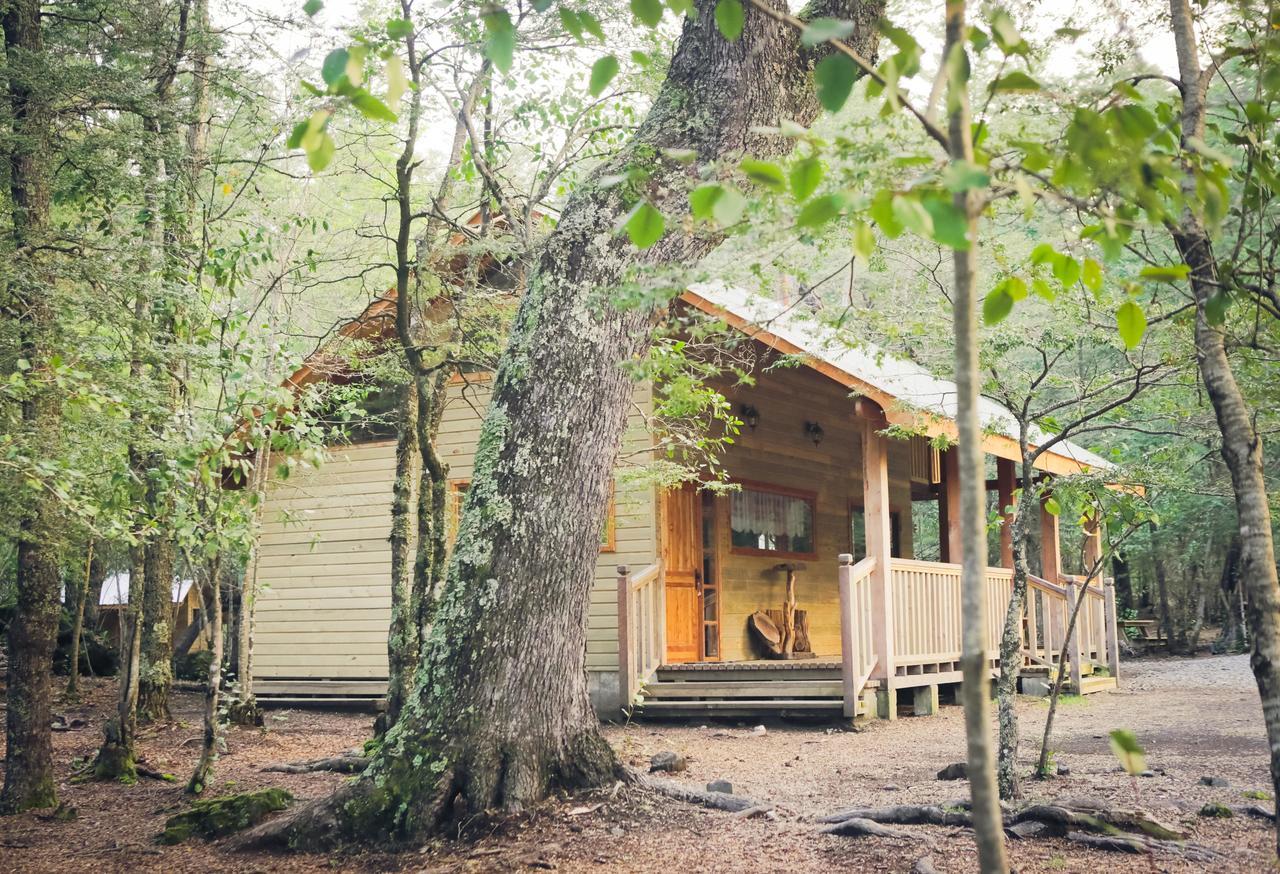 Llaima Camp Villa Curacautín Exteriör bild
