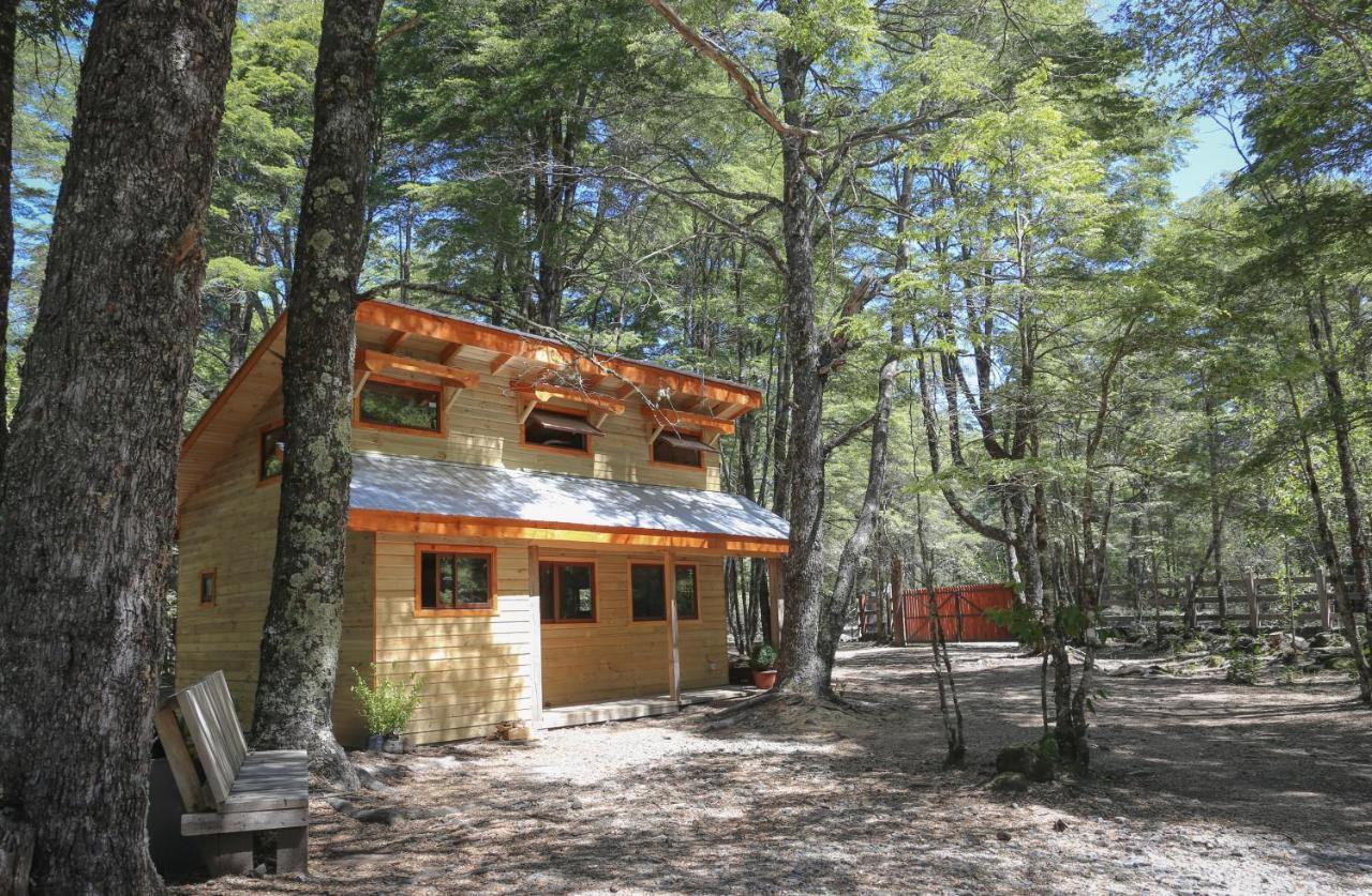 Llaima Camp Villa Curacautín Exteriör bild
