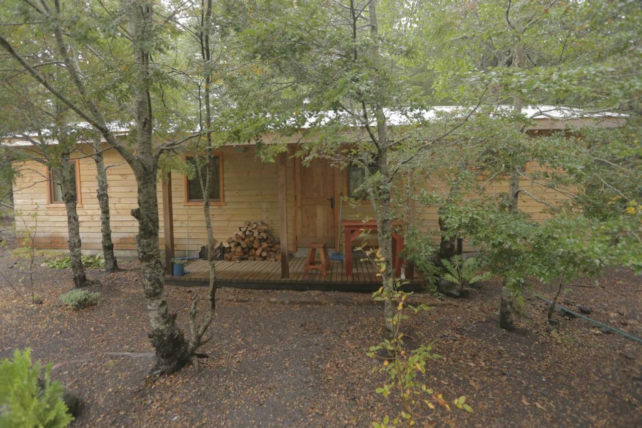 Llaima Camp Villa Curacautín Exteriör bild